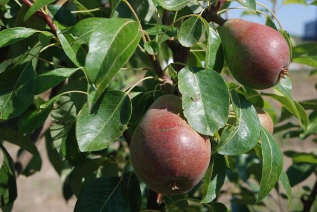 فيلا Quinta Da Estima Dous Portos المظهر الخارجي الصورة