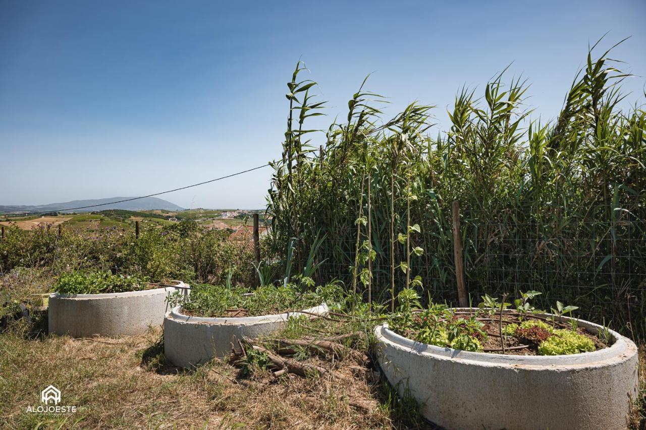 فيلا Quinta Da Estima Dous Portos المظهر الخارجي الصورة